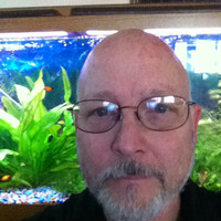 Ron Wilkins