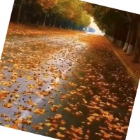 宋翠翠