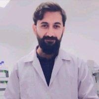 Hafiz Irfan Majeed