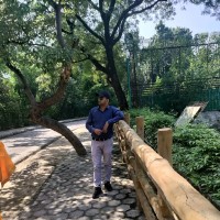 Pradeep Tiwari