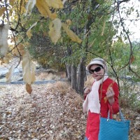 Mahdieh Mozafarnezhad