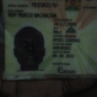 Roy Wainaina
