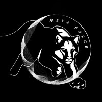 Metaforce Tanzania