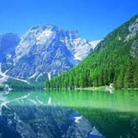 Worbix Test Account2