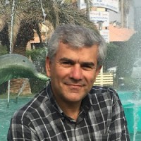 Saeid Gazizade