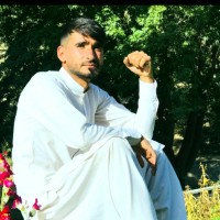Hamed Noori