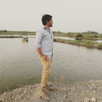 Neeraj Bhardwaj