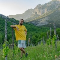 Nicolás Brun Aguerri