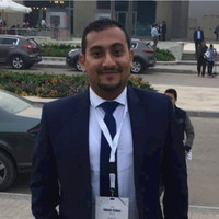 Mohamed Hussien Abdallah