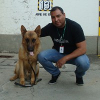 Limbert Ubaldo Carvajal Quispe