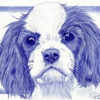 Thanh Xuân Nguyễn