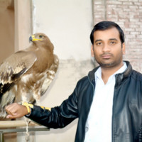 Mahar Abbas