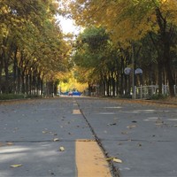张广洋