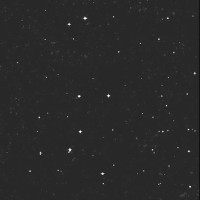 Nerea González Martínez