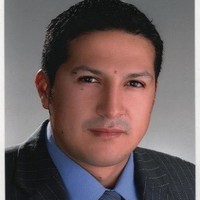 Gitmer Mauricio López Ortega