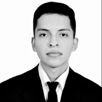 Andrés Boche Herrada