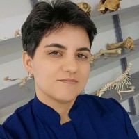 Elida Rodrigues