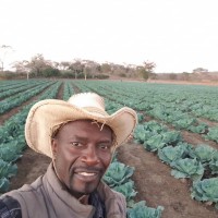 Elijah Katongo
