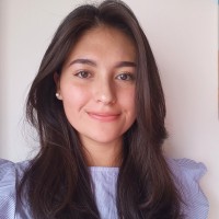 Luisa Fernanda Mesa Sua