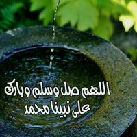 عبدالرحمن الرشيدي