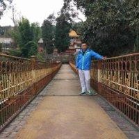 杨良军