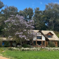 Administrador Casa Müller