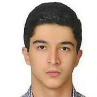 Mohammad Hossein A.