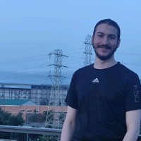 Hossein Zare Mehrjerdi