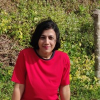 Surabhi Jha