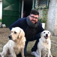 Alessandro Di Venere