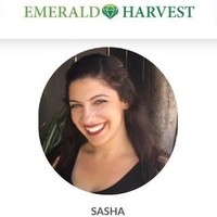 Sasha Galperin