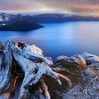 malgorzata jankowska