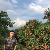Tiên Phạm