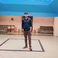 Anshu Roy