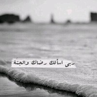 optimistic optimistic