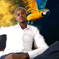 Chinedu Nnaemeka