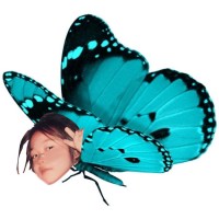 Pasu Pain