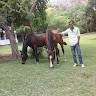 Shaik Jahadulla