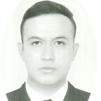 Luis Enrique Mino Garnica