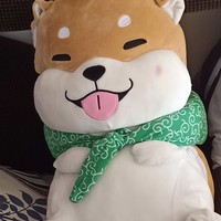 伏丹丹
