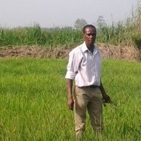 Samuel Ofosu Frempong