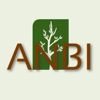 A.N.B.I. Marcenaria e Design de Interiores