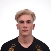 Aleksejs Birjulins