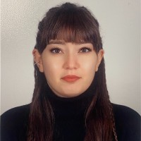 Kübra Kul