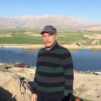Majid Farzamnia