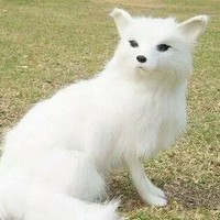 张中成