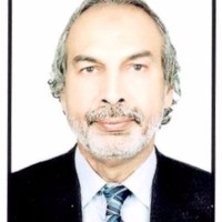 Syed Aslam Ali Sabzwari