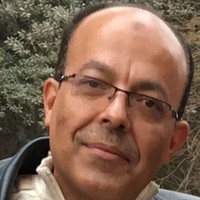 Samy ElSayed