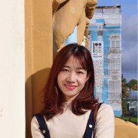 lingis Confectionery promotional toys