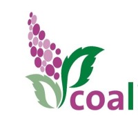 Coalimenta Foods